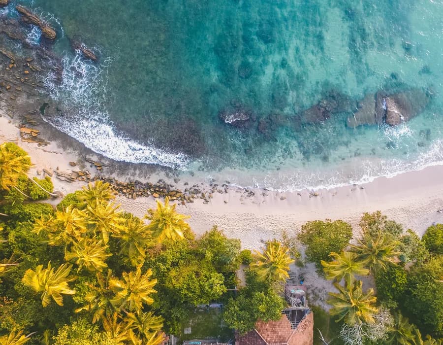 Sri Lanka private tour beach destination showing tropical palm trees and coastline